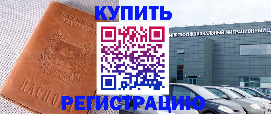прописка законно в Волоколамске